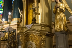 IMGP9615