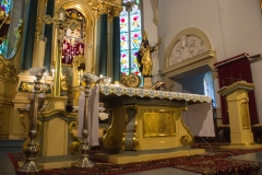 IMGP9625