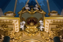 IMGP9662