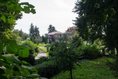 IMGP9686