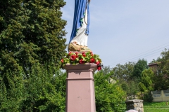 IMGP9690