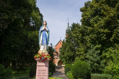 IMGP9694